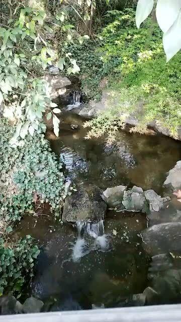 狂打小飞机
